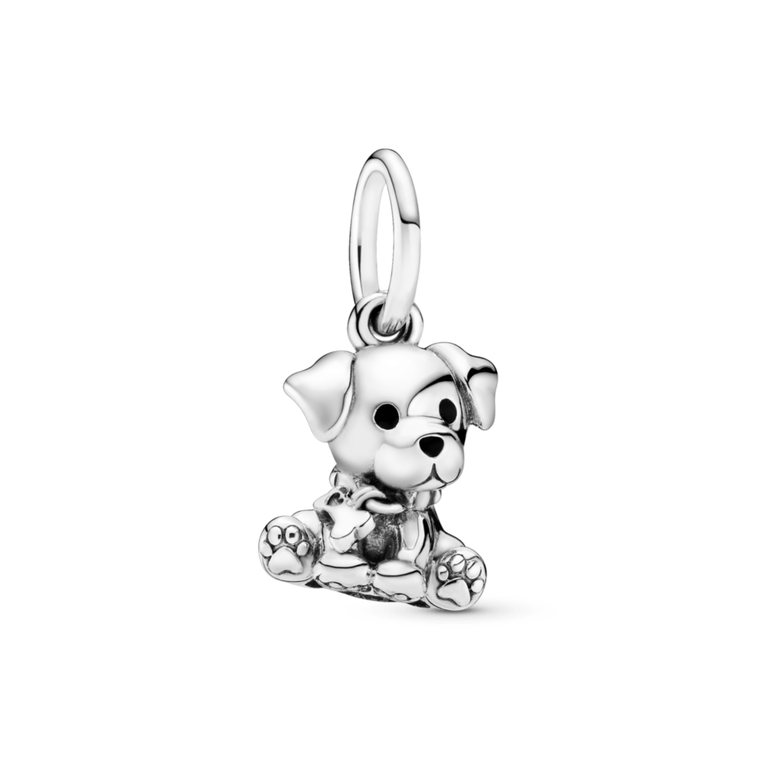 Cão Charm