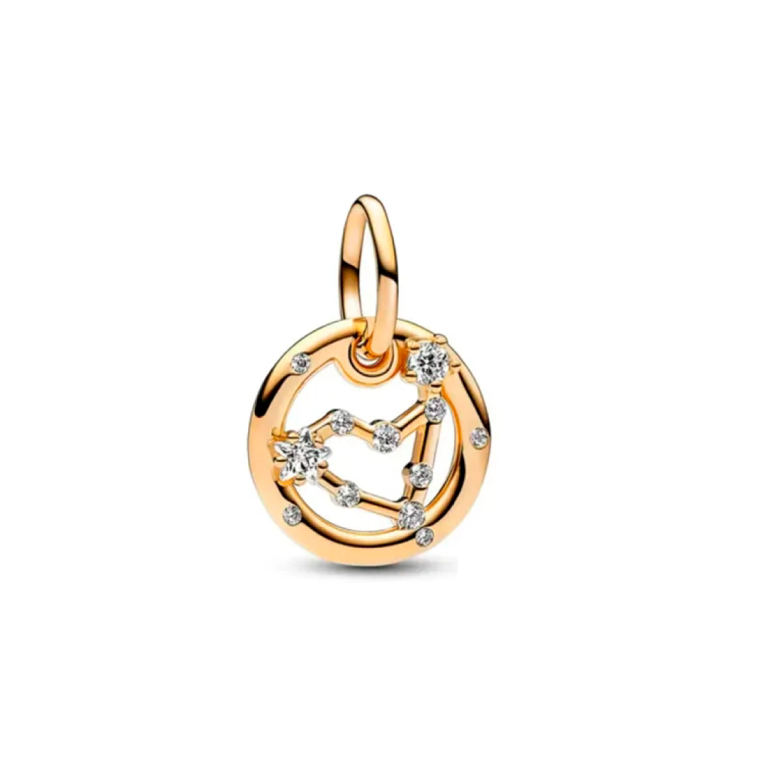 Constelação de Capricórnio Charm
