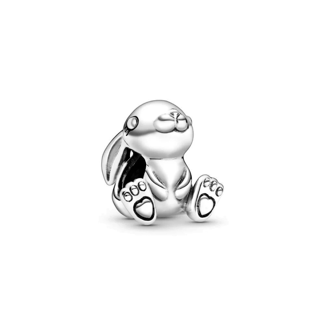 Coelho Charm