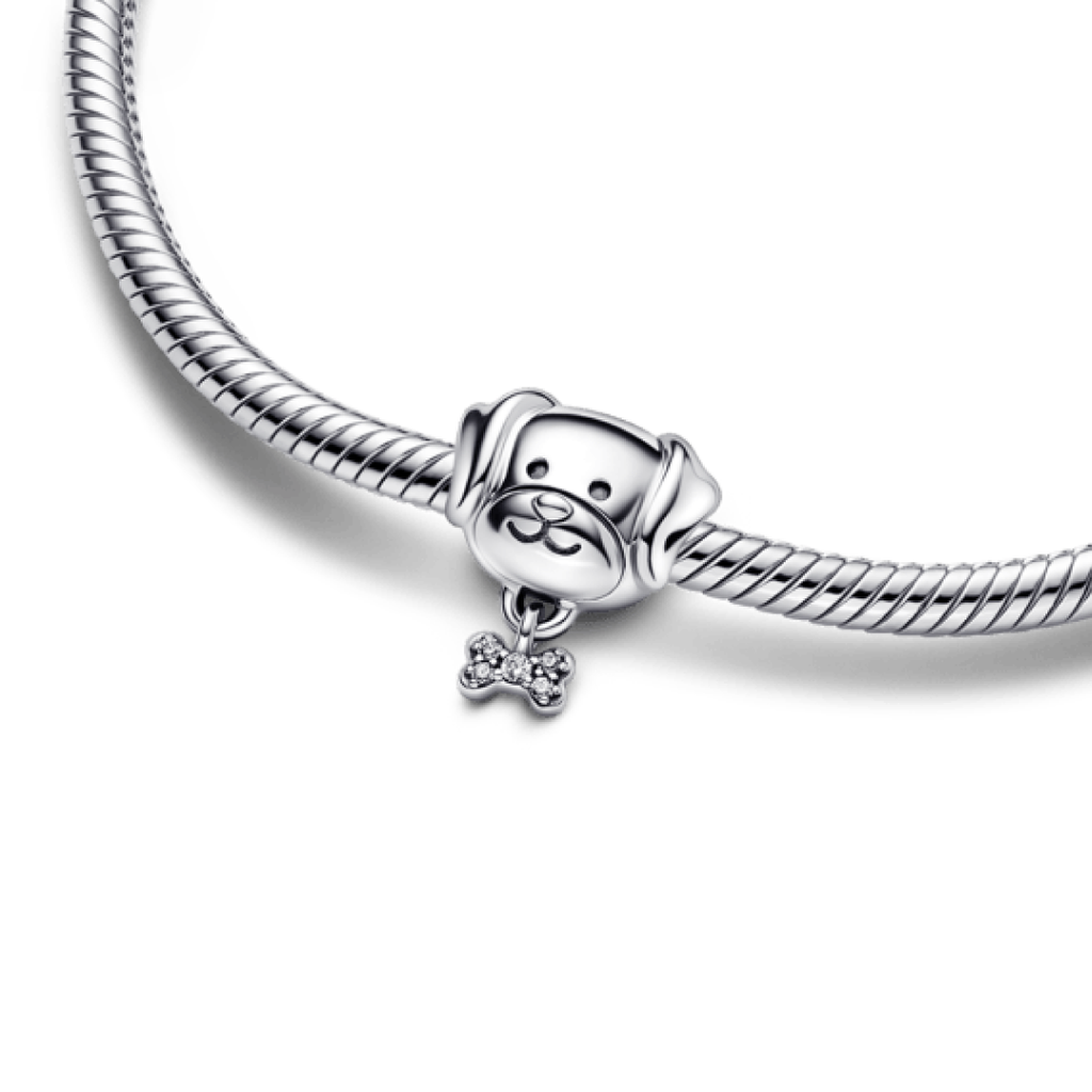 Osso de cão Charm
