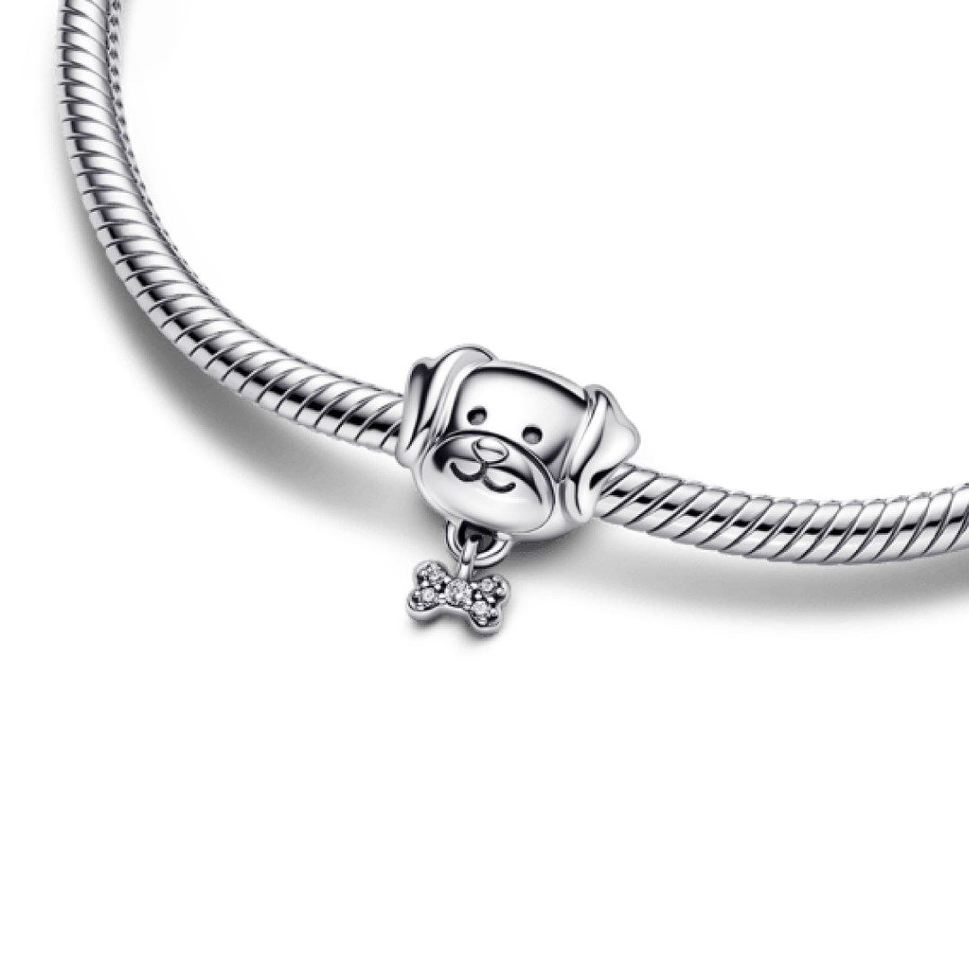 Osso de cão Charm