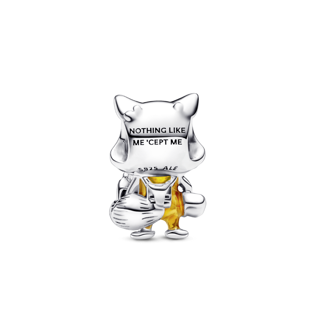Charm Raccoon