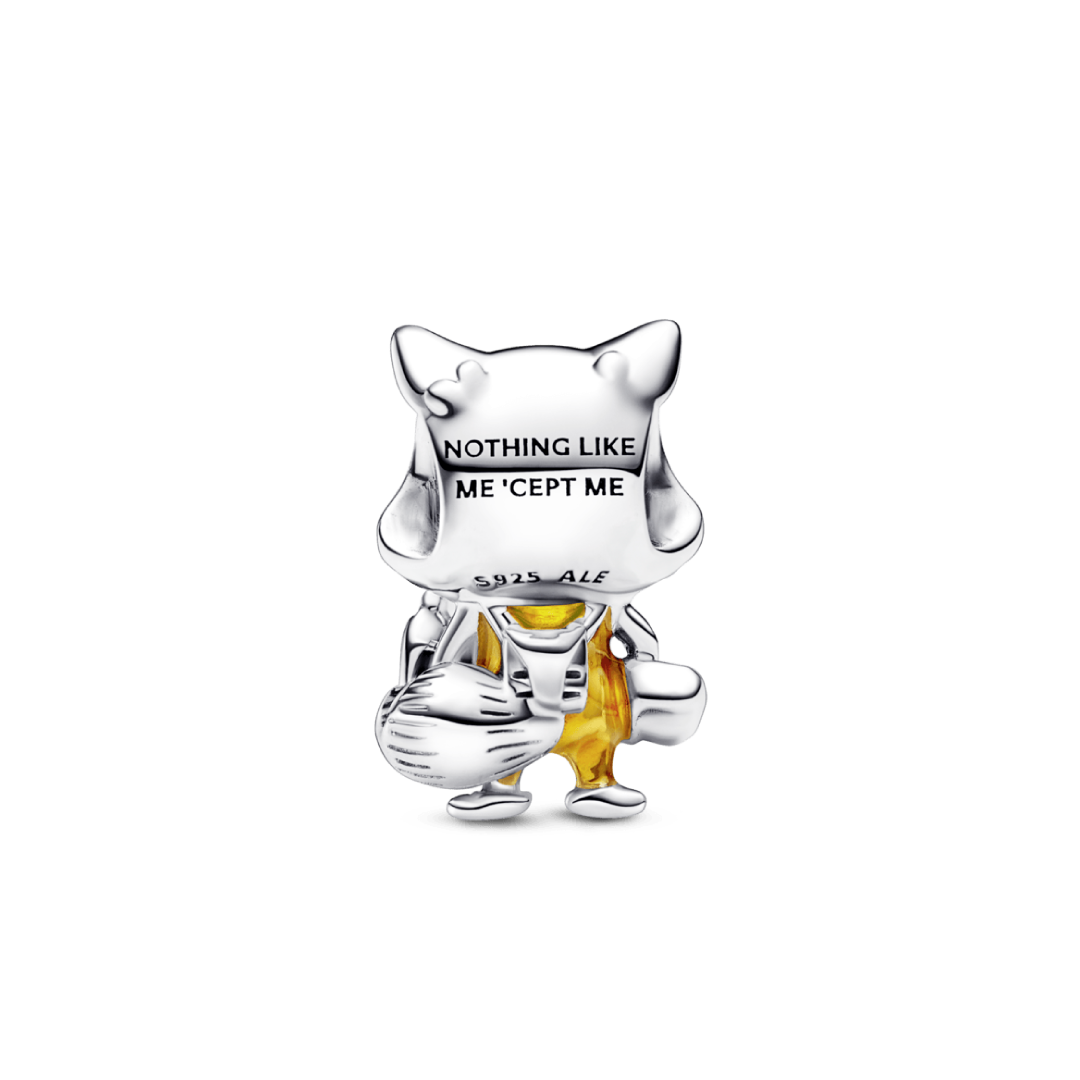 Charm Raccoon