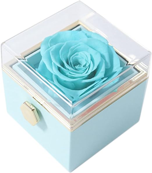 Anel de Prata Esterlina 925 em Caixa Rosa Eterna