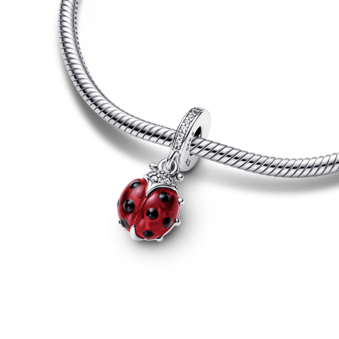 Joaninha Charm
