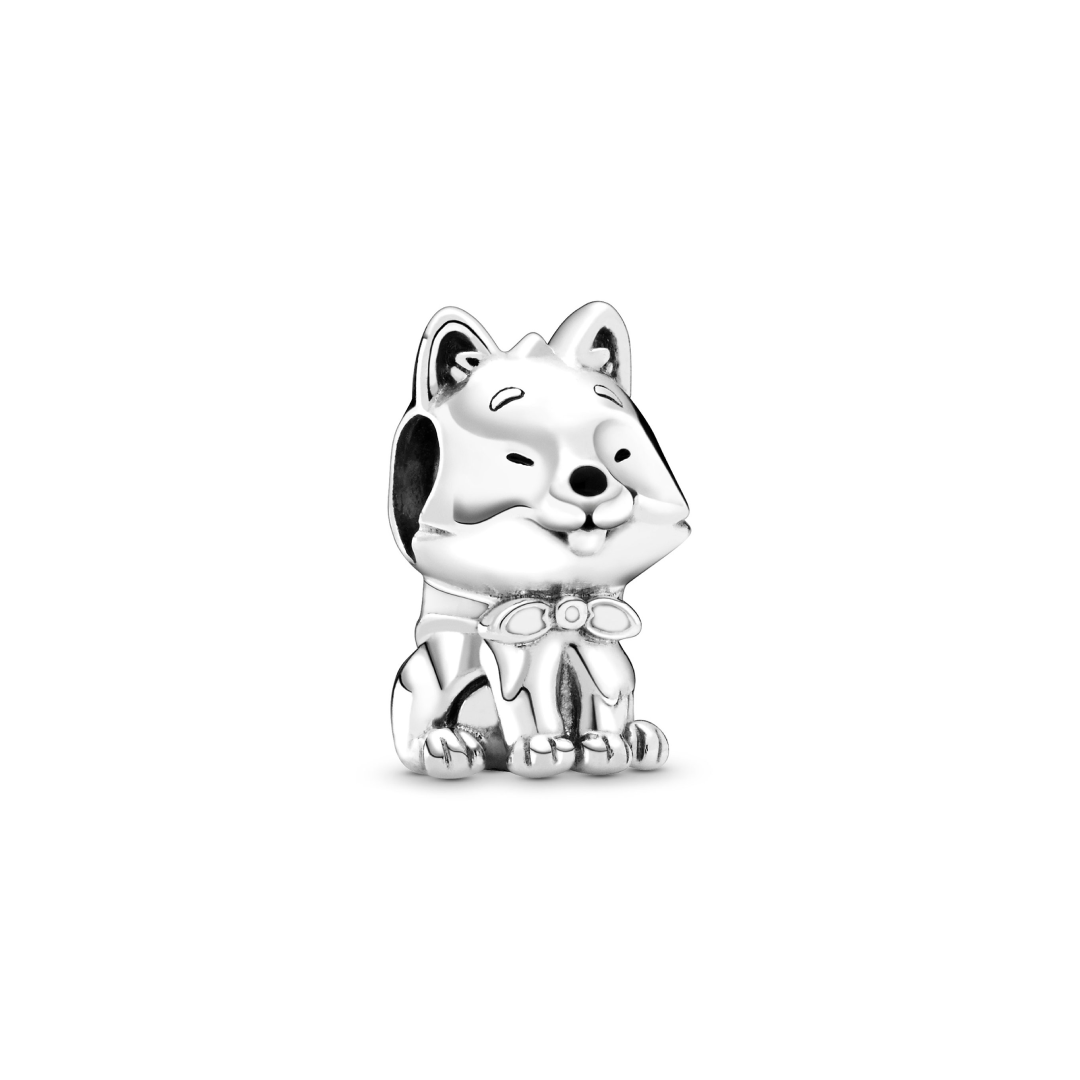 Cão Akita Charm