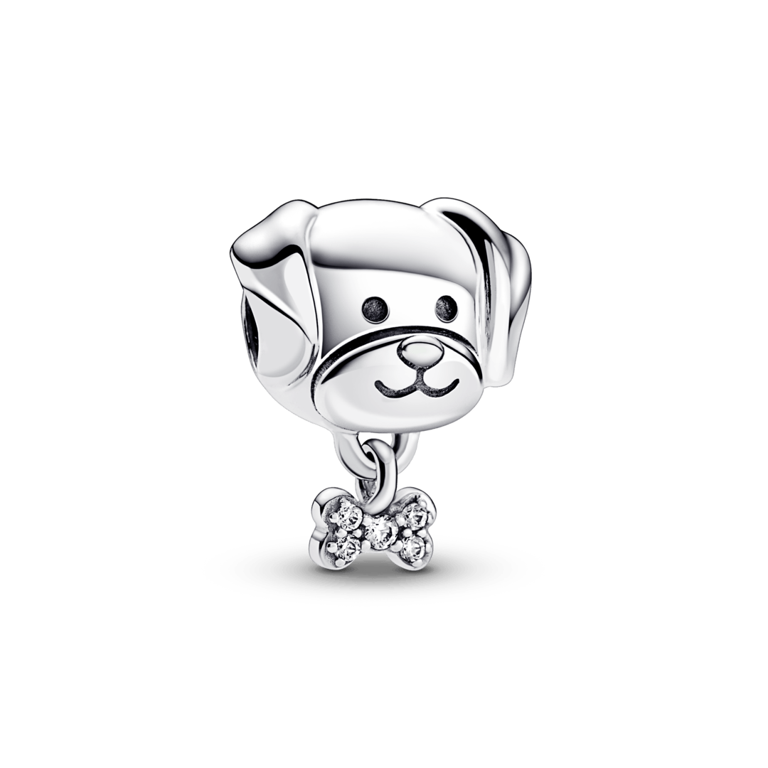 Osso de cão Charm