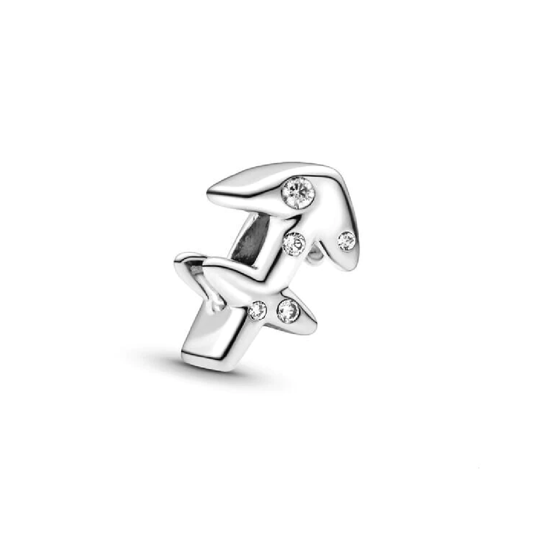 Sagitário Charm