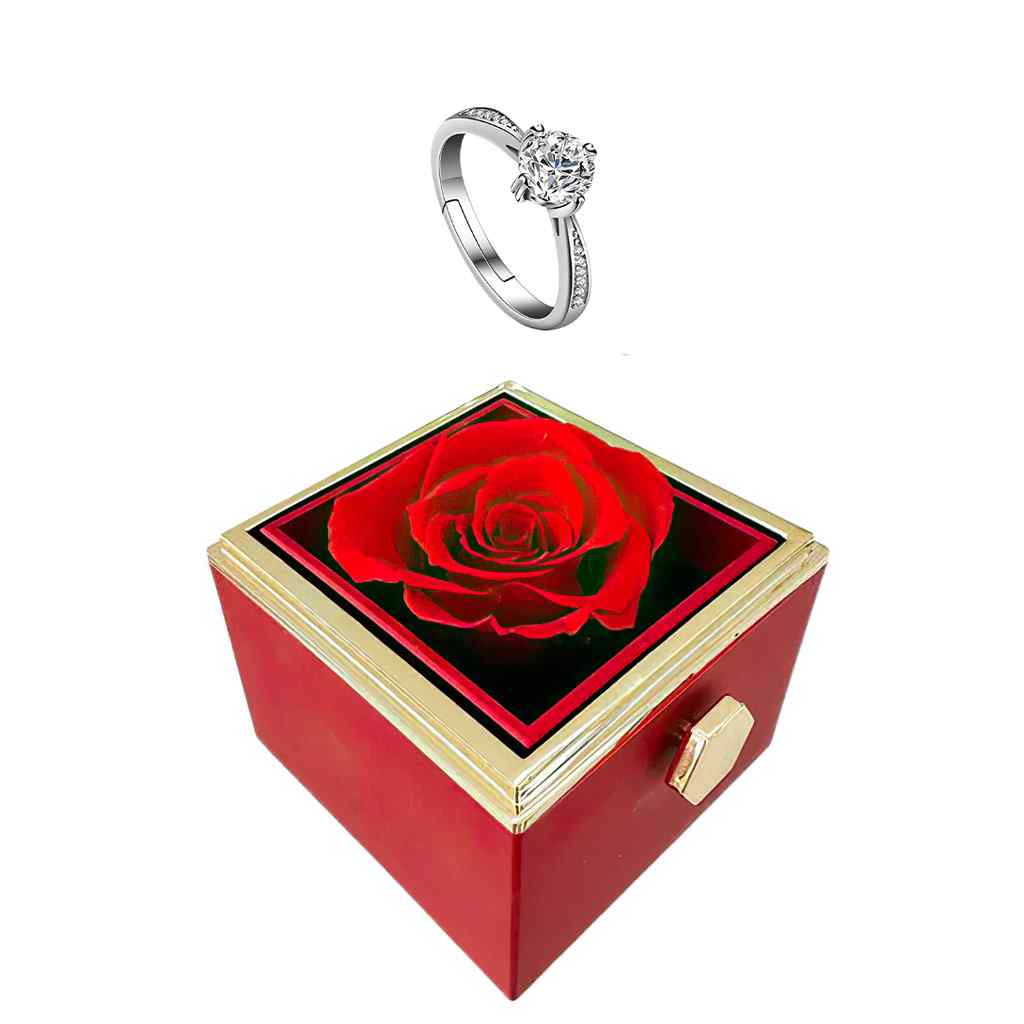 Anel de Prata Esterlina 925 em Caixa Rosa Eterna